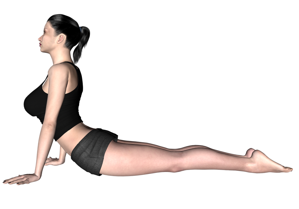 cobra yoga posture Basic Yoga Postures and their Variations